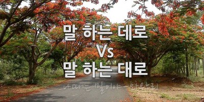 말 하는 대로 말 하는 데로 대로 데로