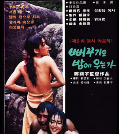 뻐꾸기도 밤에 우는가