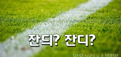 잔디 잔듸 올바른 표현 잔디 영어로