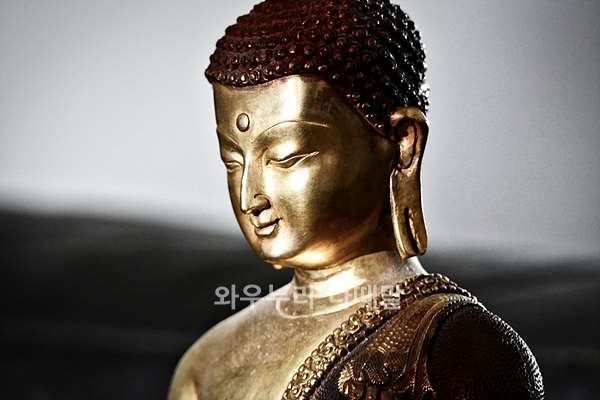 부처님의 일생 에니감상