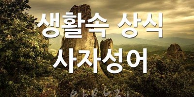 생활속 사자성어 모음 ㄱ~ㅅ모음