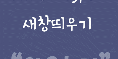 인풋버튼 원하는 페이지를 원하는 사이즈로 새창띄우기 input 활용