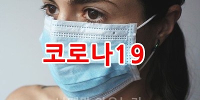 은평구 확진자 이동경로 확인하기