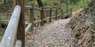 응암동 백련산 벚꽃엔딩